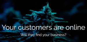 Cannabis Marketing